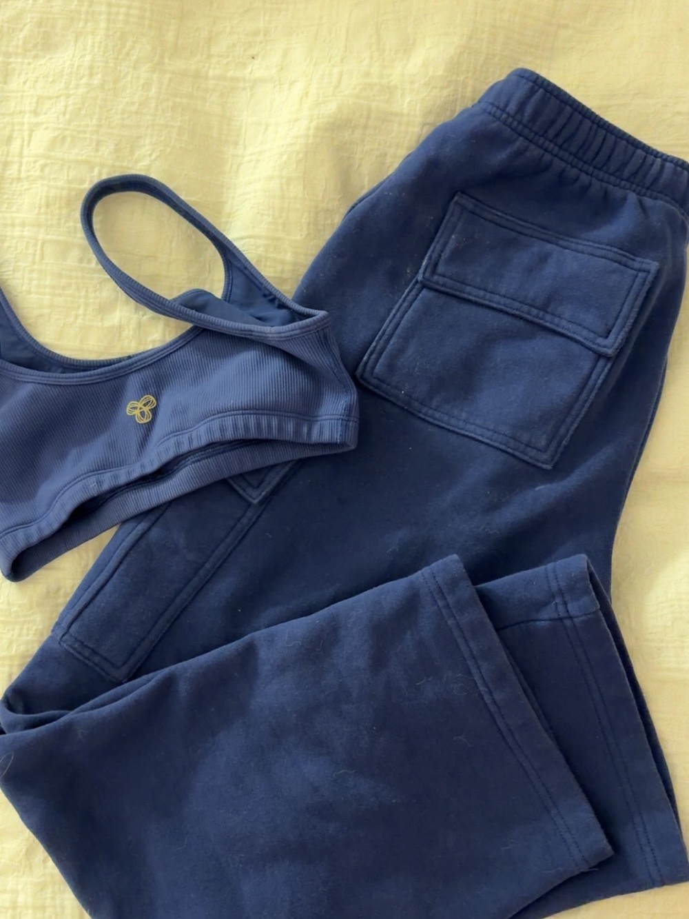Aritzia Navy Ribbed Sports Bra & Jogger Set